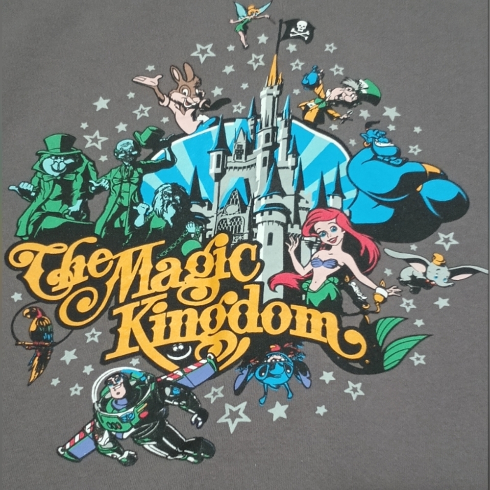 Disney Parks Magic Kingdom Zip Front Hoodie Jacket Unisex Size L